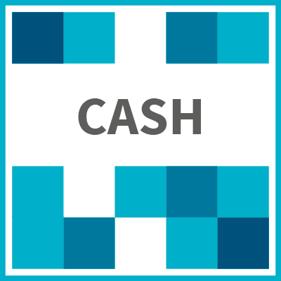 CASH - transparente Rechnungsprüfung